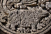 Candi Panataran - Main Temple. Animal roundel of the first register. 